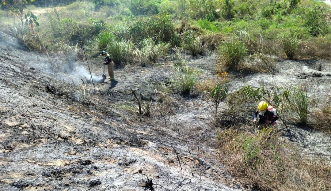 Prevención de incendios forestales