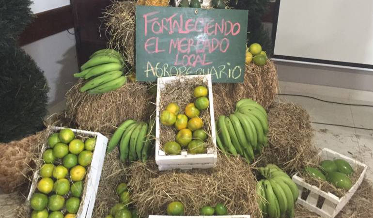 Aguacate, plátano, lulo y piña serán los más comercializados.
