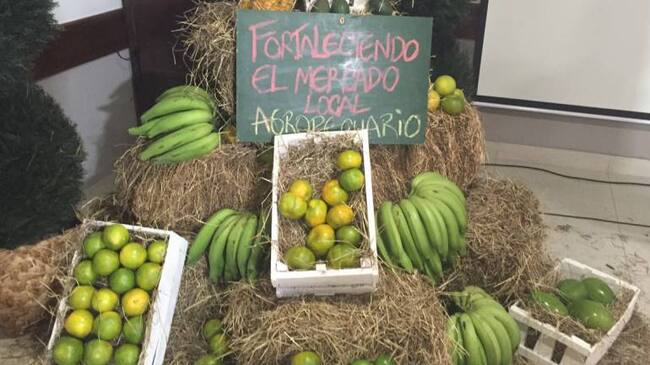 Aguacate, plátano, lulo y piña serán los más comercializados.