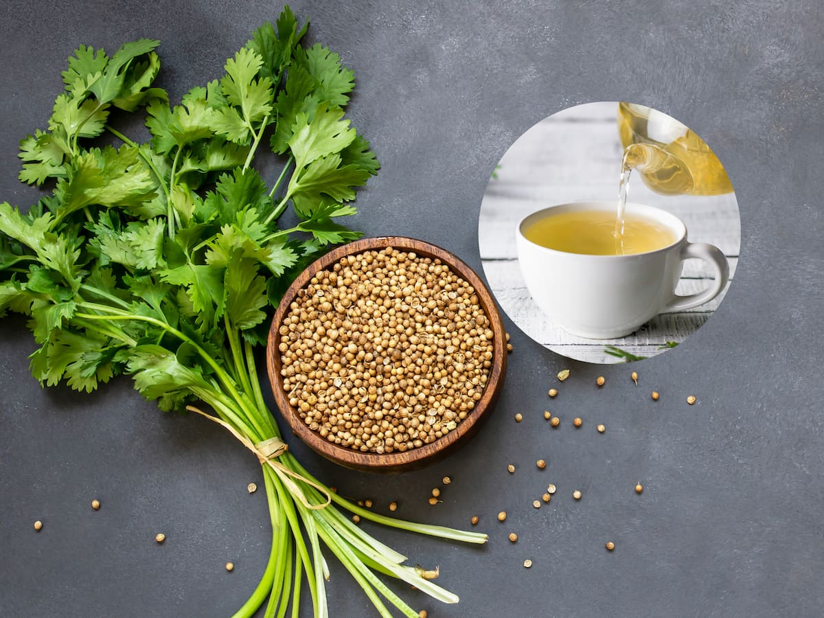 ¿Qué beneficios tiene el té de cilantro? Así se prepara esta infusión
