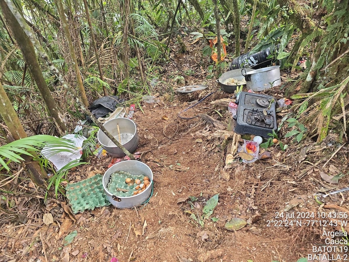 MinDefensa confirma que después de 2 años, se retomaron los bombardeos en Colombia