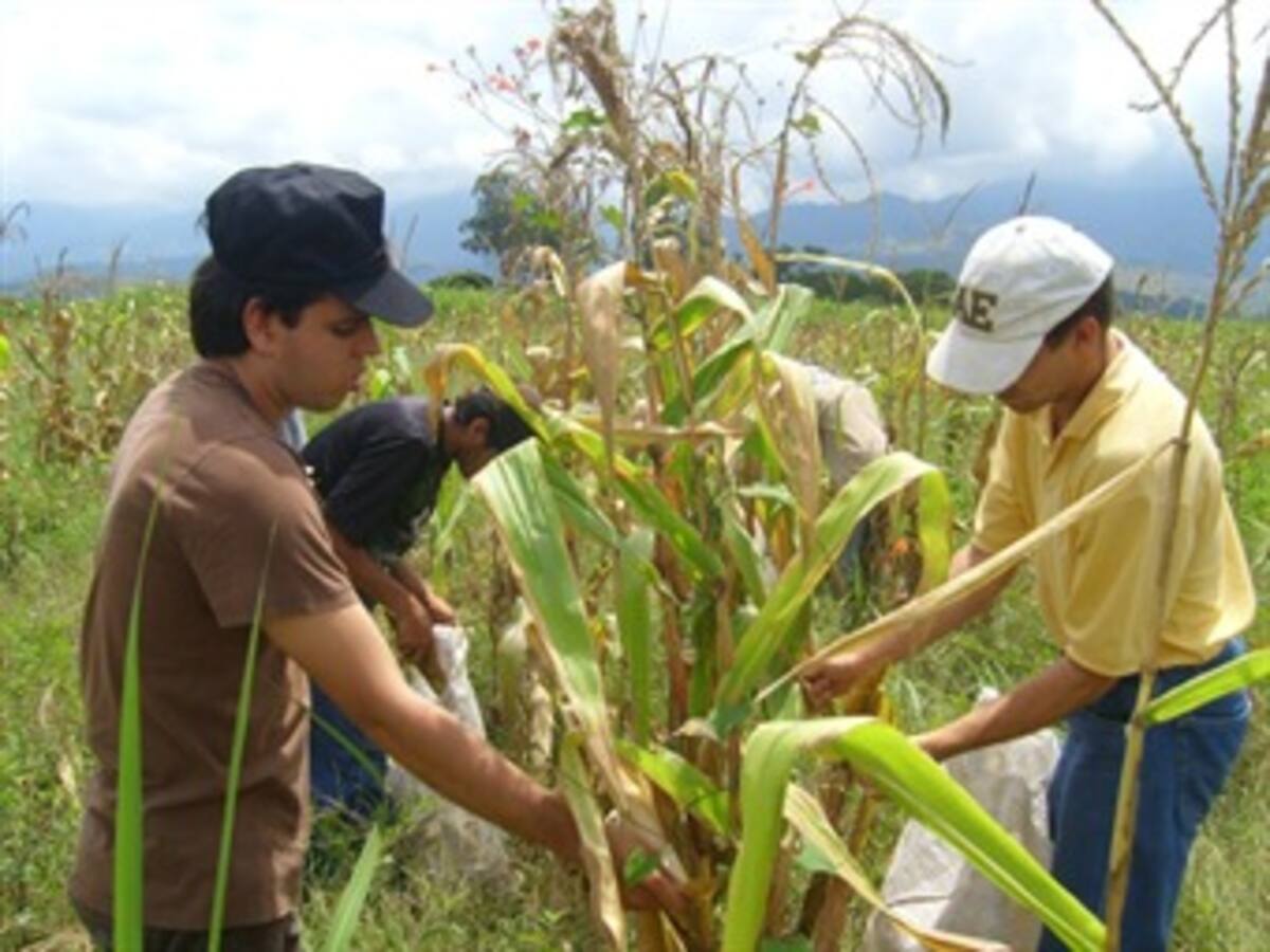 La FAO resalta el crecimiento en la cooperación entre la Unión Europea y América Latina