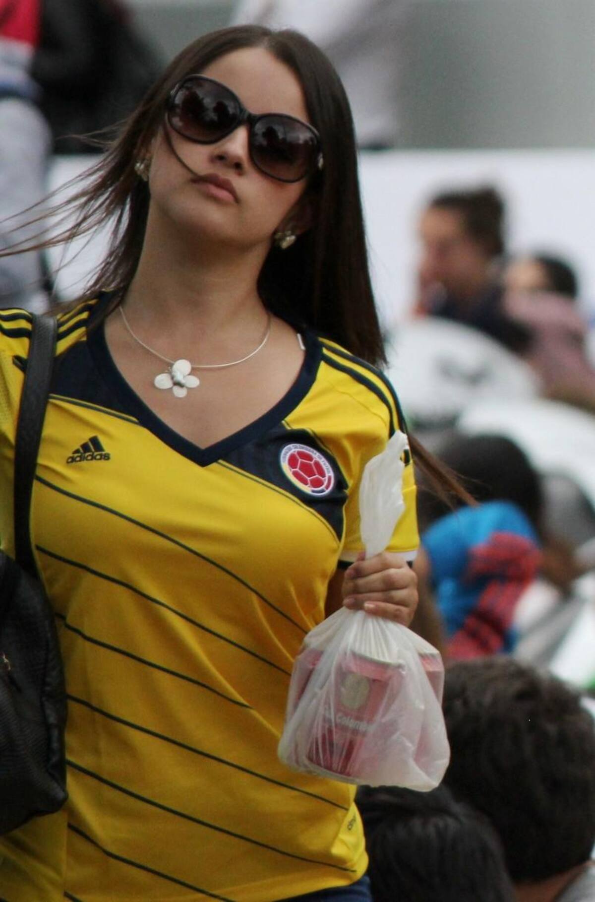 Título de la imagen
