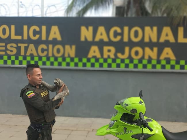Departamento de Policía Bolívar
