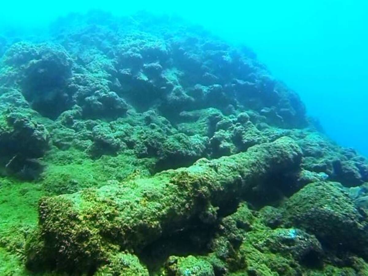 Aplazamiento de APP para rescate del San José dará transparencia al proceso