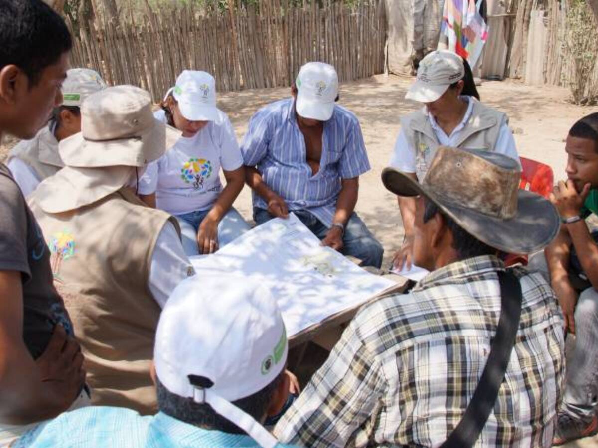 Despojados por 'Jorge 40' en Sitionuevo, Magdalena, vuelven a sus tierras.