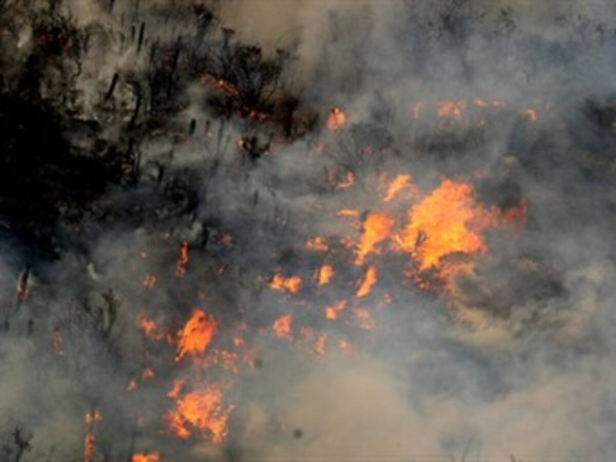 En alerta se encuentran los organismos de socorro del Valle del Cauca