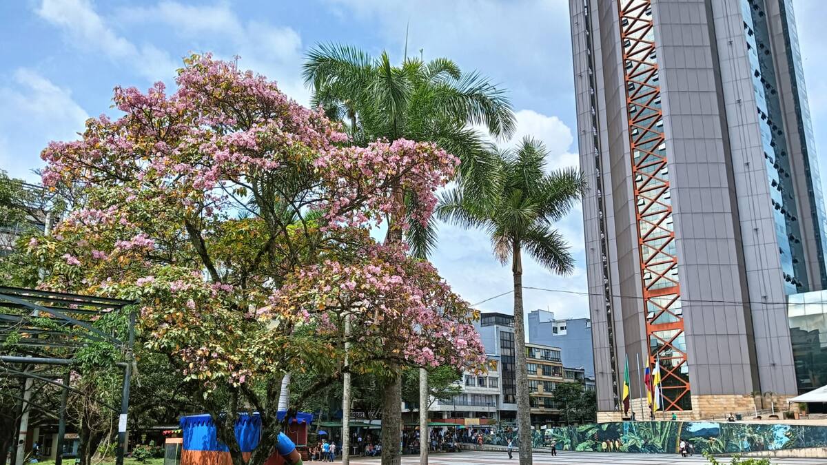 Miércoles 30 de octubre, las noticias más importantes de Armenia y Quindío