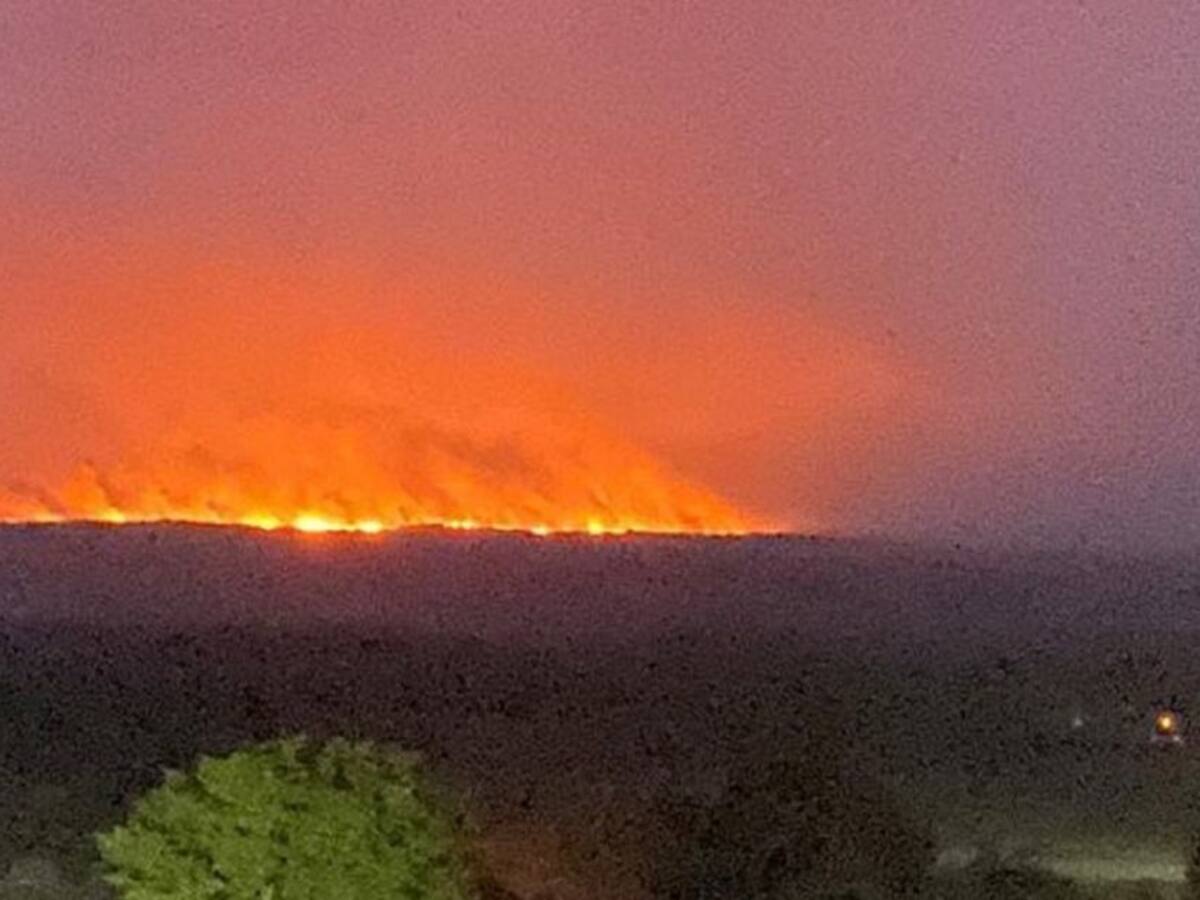 Tragedia ambiental y de gobernanza de los bosques en La Macarena