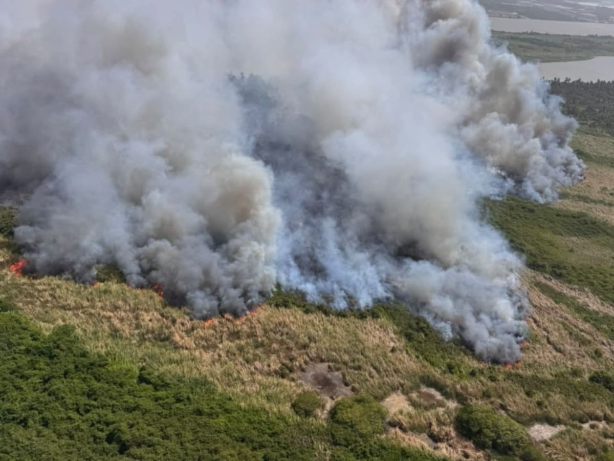 Incendio forestal entre Soatá y Tipacoque continúa bajo vigilancia