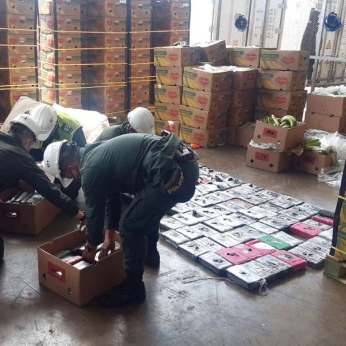 Bananeros de Magdalena fortalecen estrategias en la lucha contra los narcos