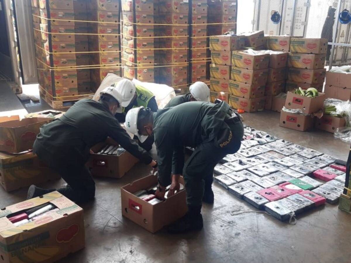 Bananeros de Magdalena fortalecen estrategias en la lucha contra los narcos