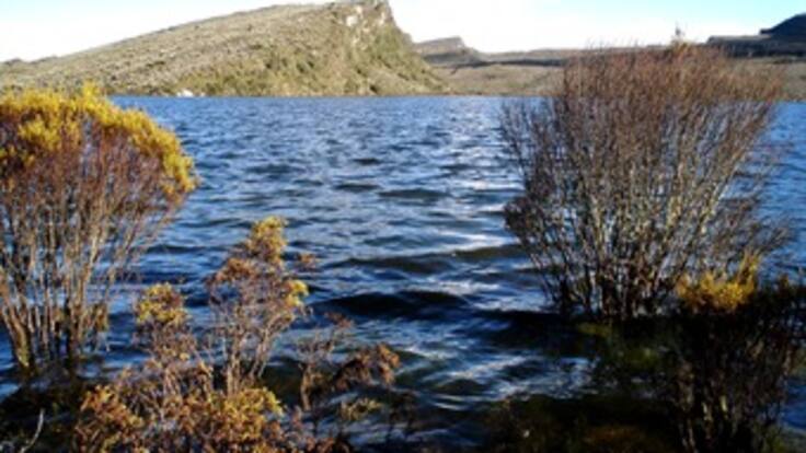 Ronda de ciudades: Panorama de las áreas protegidas en Colombia