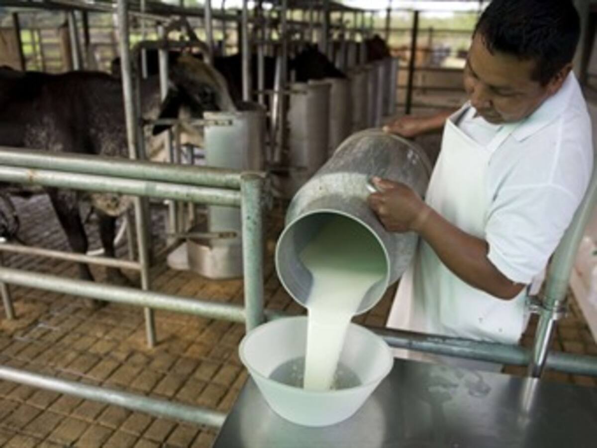 En Boyacá se vende el litro de leche más barata del país, 400 pesos