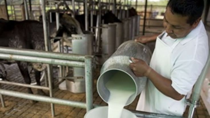 En Boyacá se vende el litro de leche más barata del país, 400 pesos