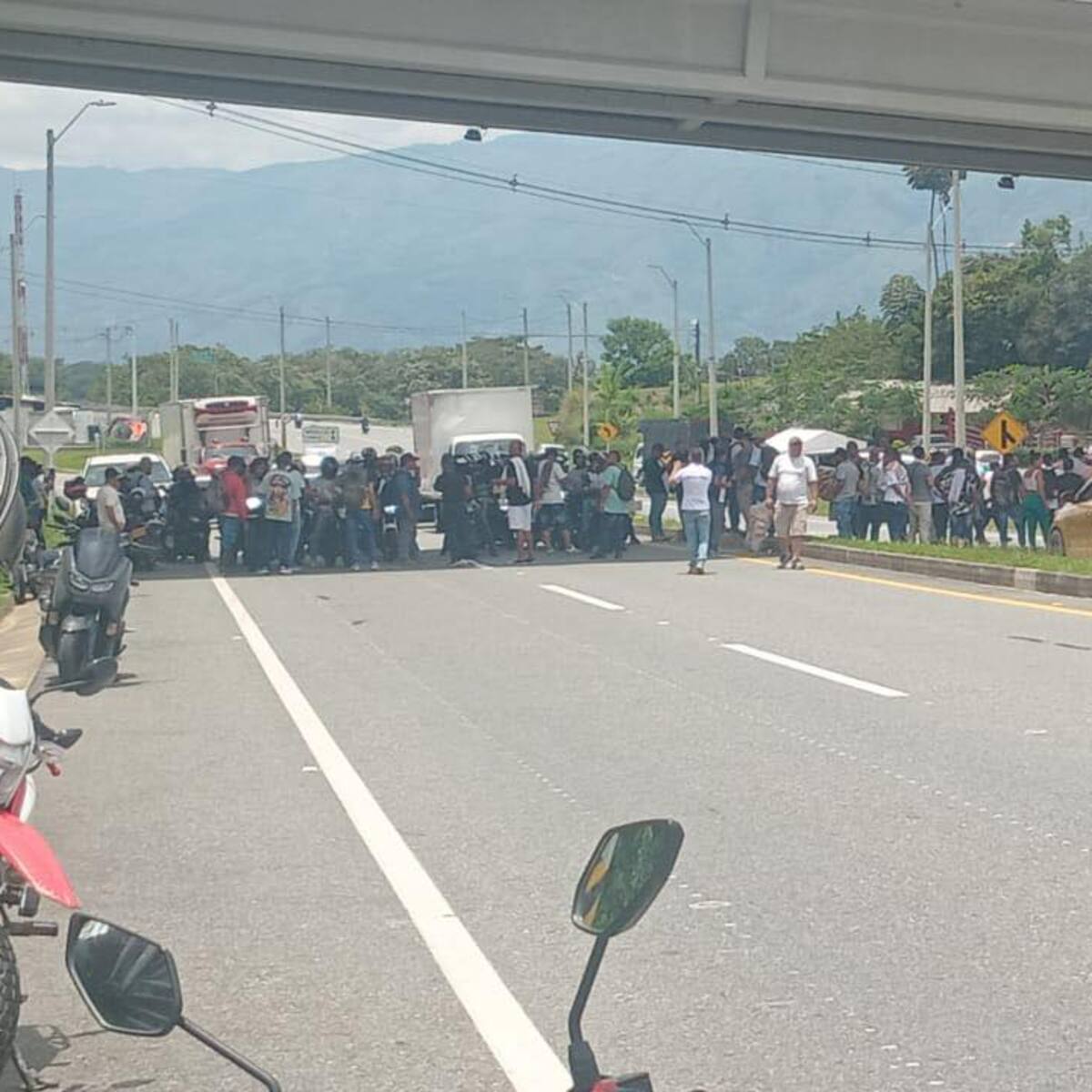 Cada día de bloqueo representa aumentos de recorrido de unos 350 kilómetros por viaje: Defencarga