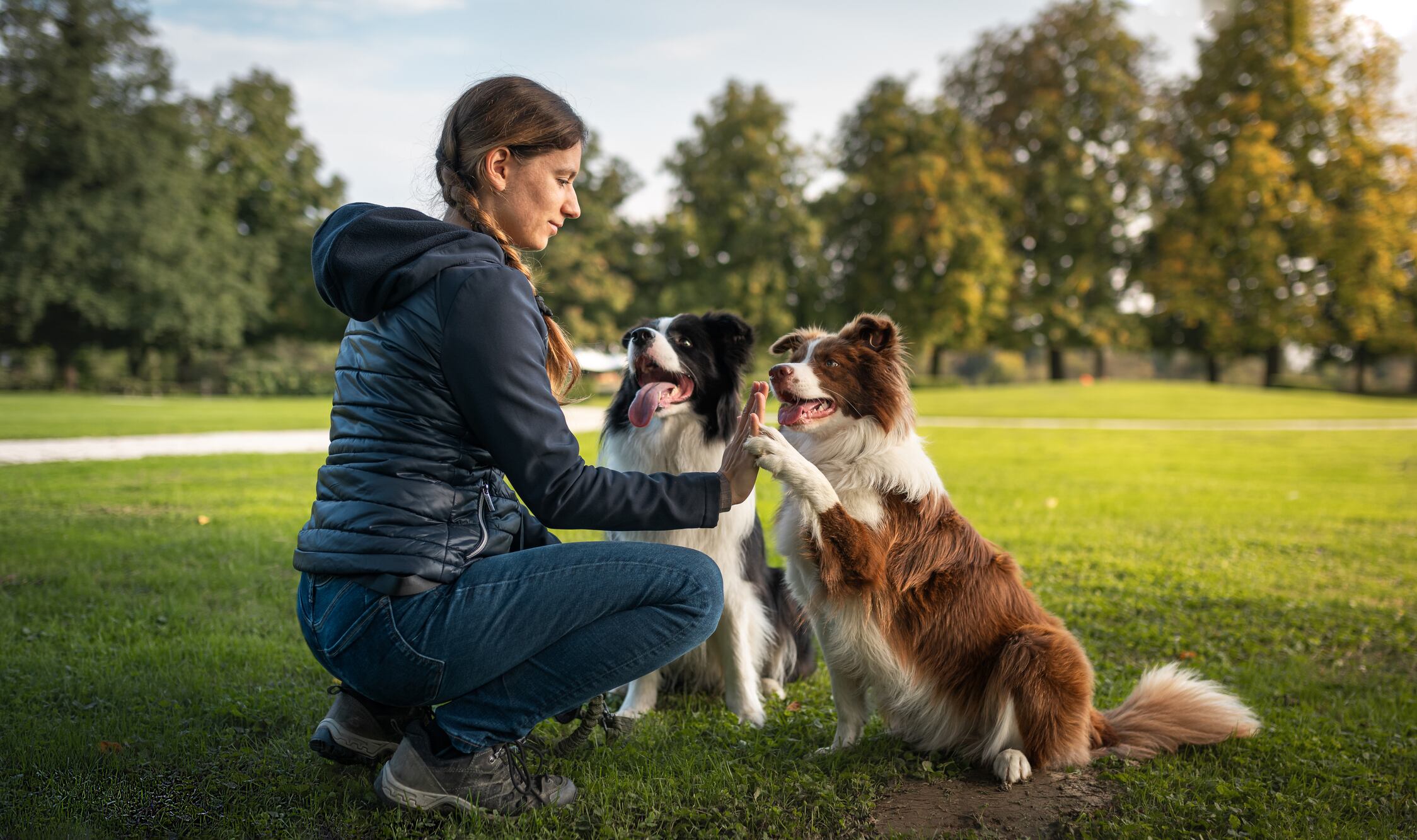 Mujer con dos perros Border collie en el parque // Getty Images