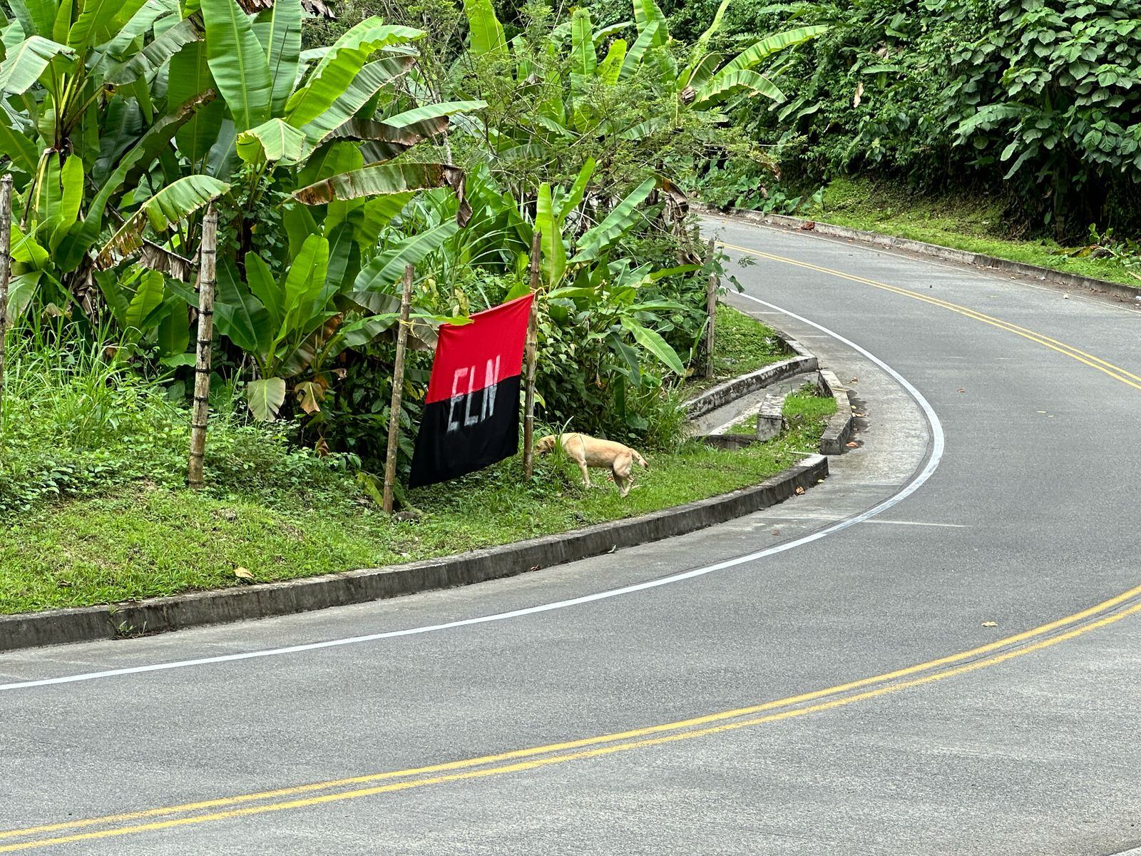 Foto: Cortesía Gobernación