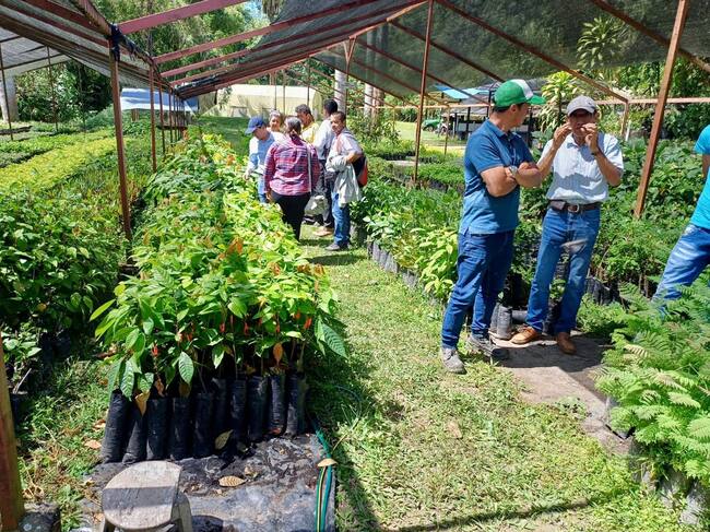 Fortalecimiento del sector cacaotero en Ibagué
