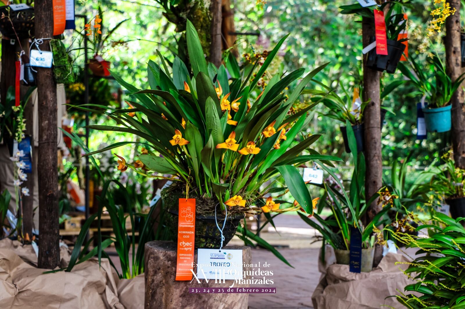 Crédito: Suministrada.