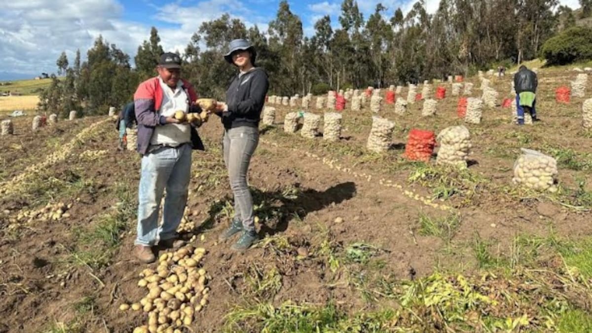 Empresa del sector alimentos reporta reducción del 32% en sus emisiones y fija meta del 50% a 2030