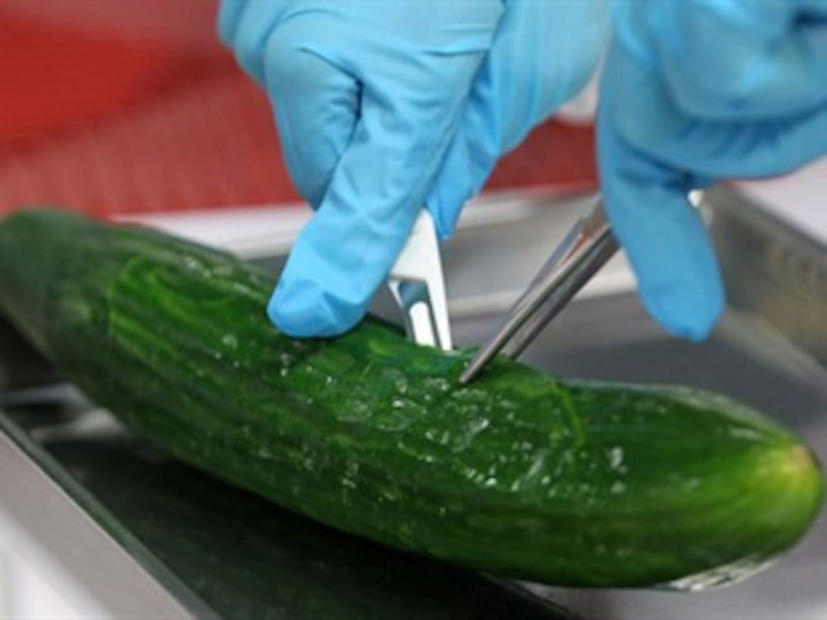 Europa le pidió a Alemania no lanzar alertas de la bacteria E. Coli sin tener pruebas