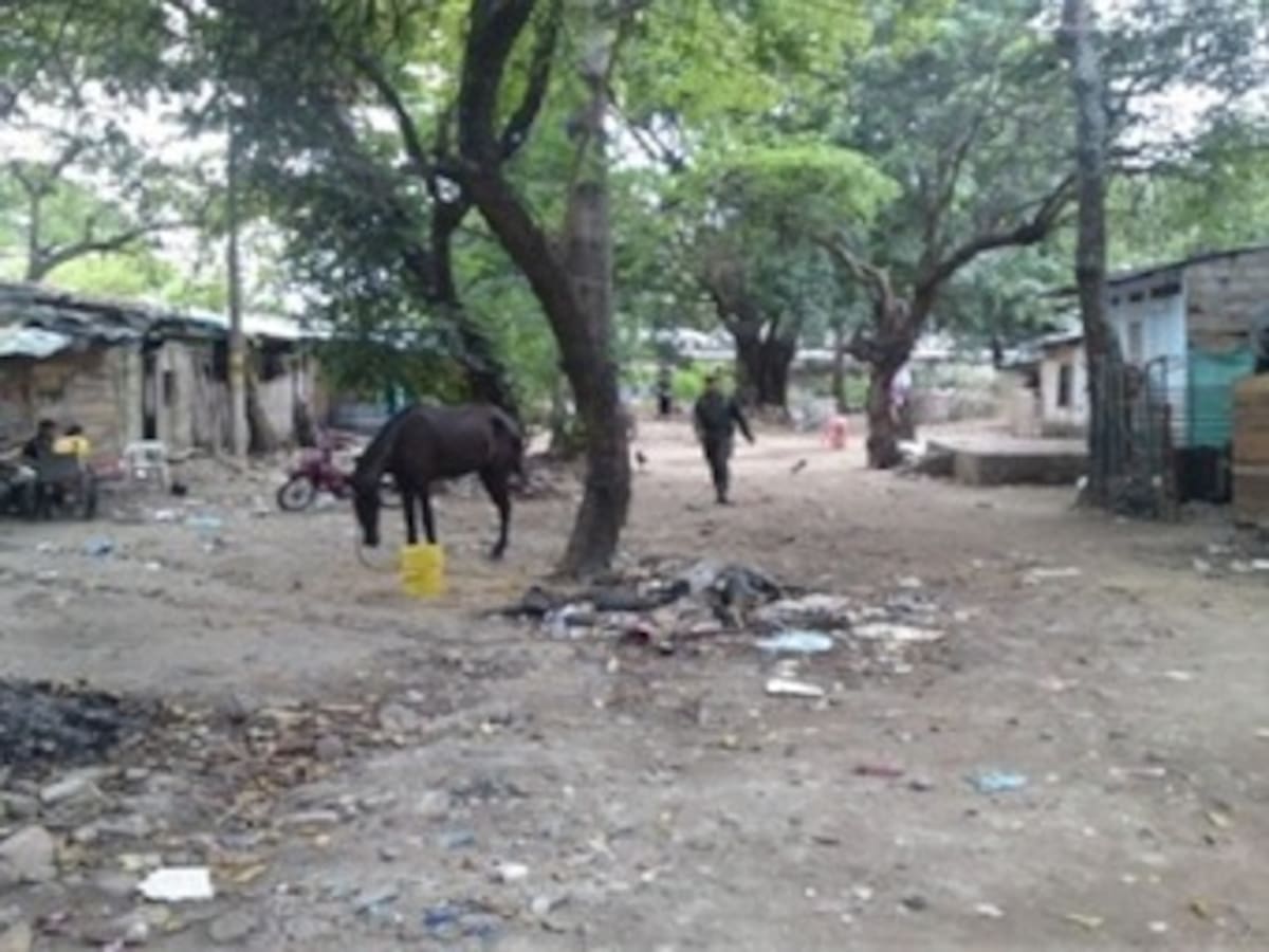 En Neiva, la droga es un negocio de familia