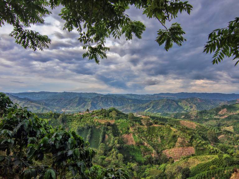 Gobernación de Risaralda.
