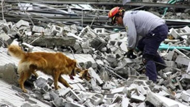 Vicepresidente Garzón pide no cobrar deudas a damnificados de Space