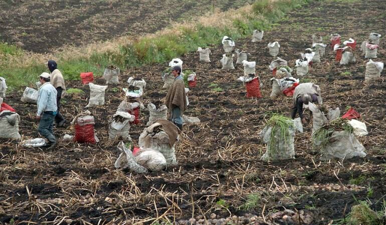 Campesinos colombianos