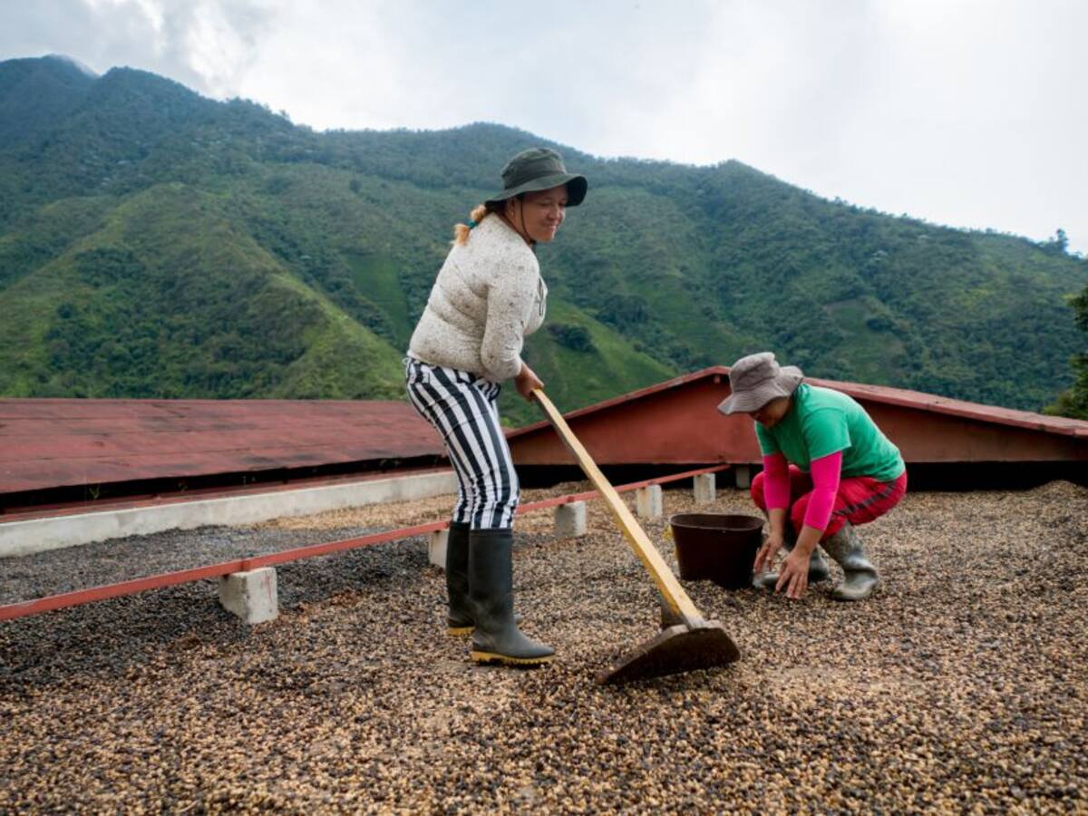 Mujeres rurales de Colombia, en busca de la equidad