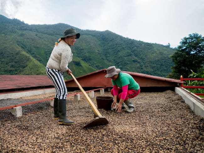 Mujeres rurales de Colombia, en busca de la equidad