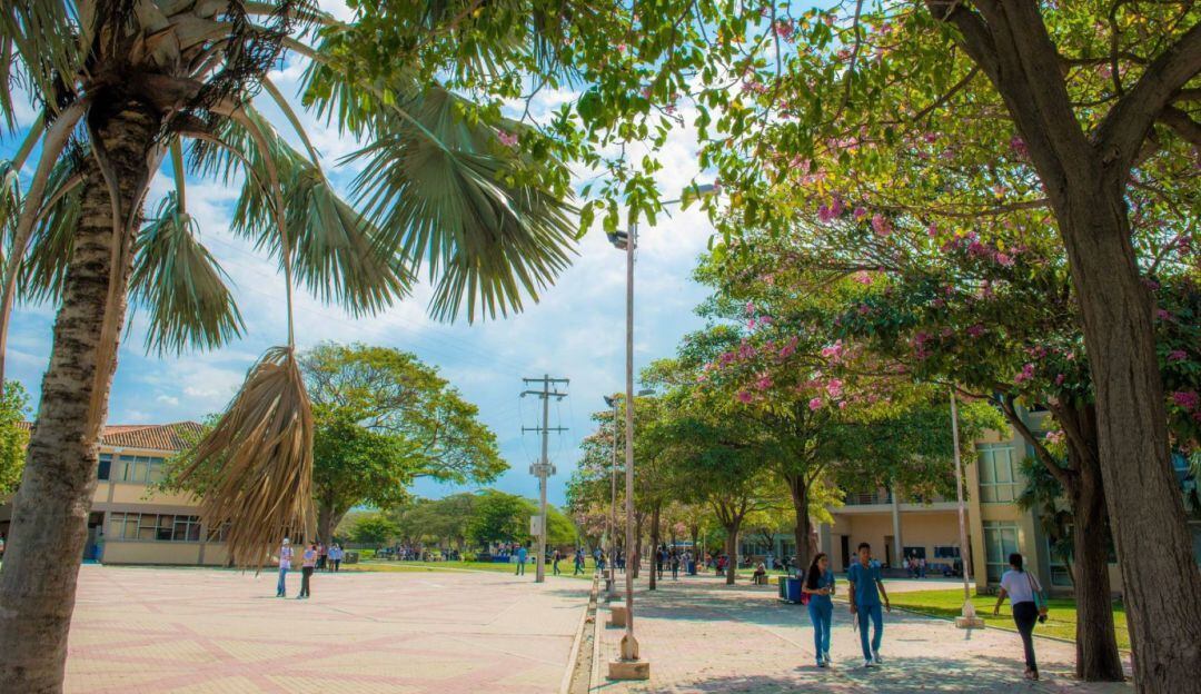 Campus universitario
