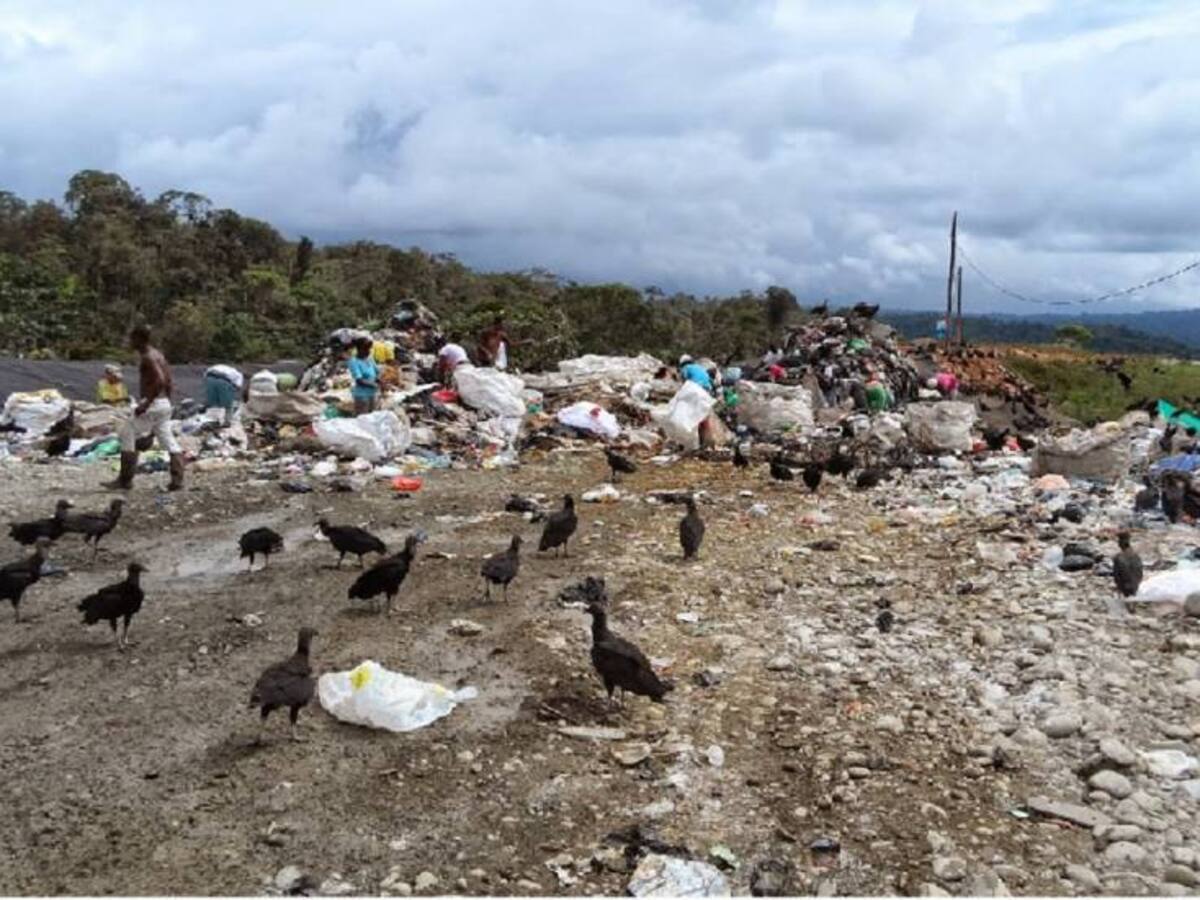 Procuraduría advierte emergencia sanitaria en Buenaventura