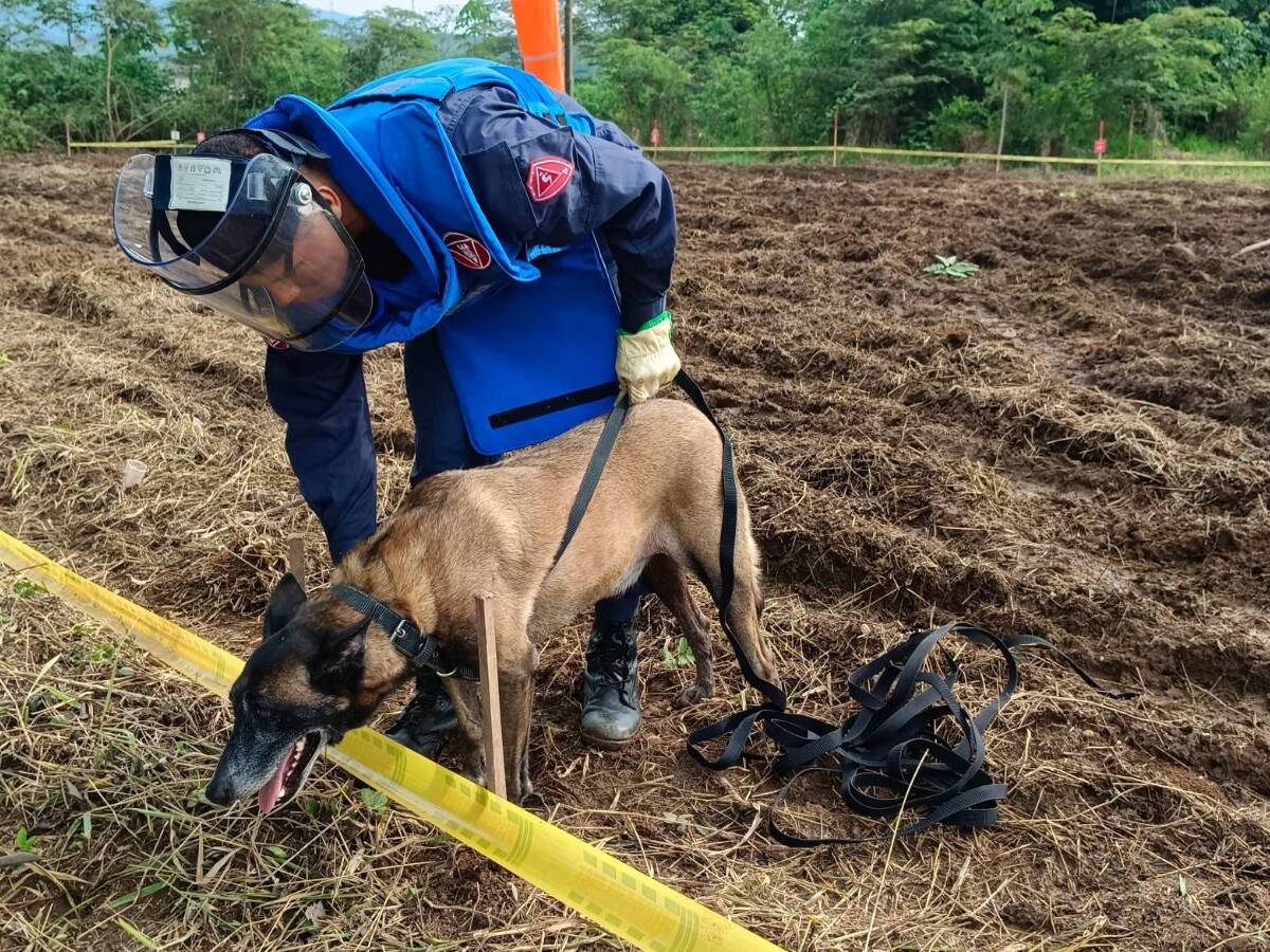 Liberan de sospecha de Minas Antipersonal la Puerta de Entrada a la Sierra de la Macarena