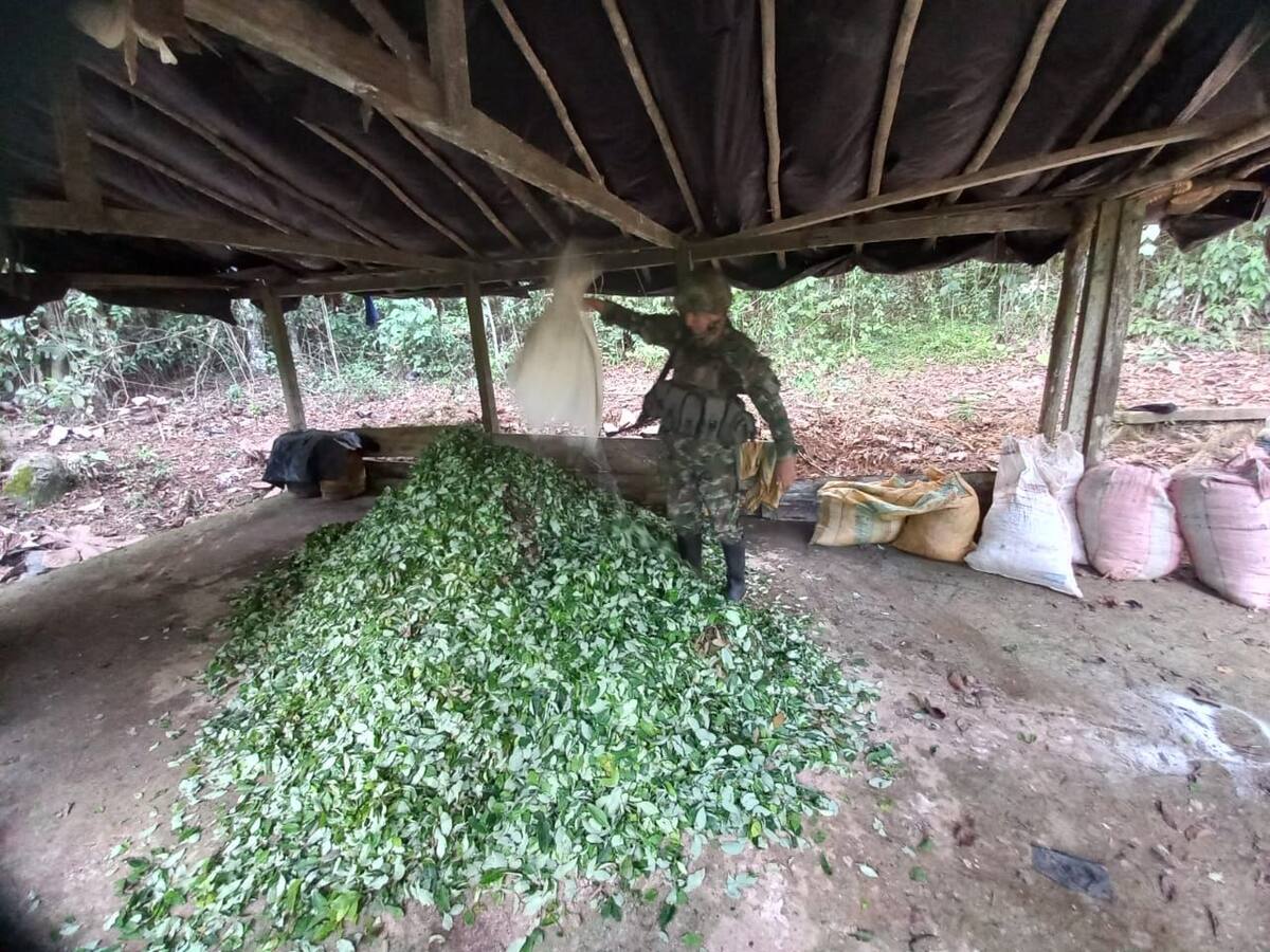 MinDefensa: aumentan incautaciones de insumos para producción de cocaína