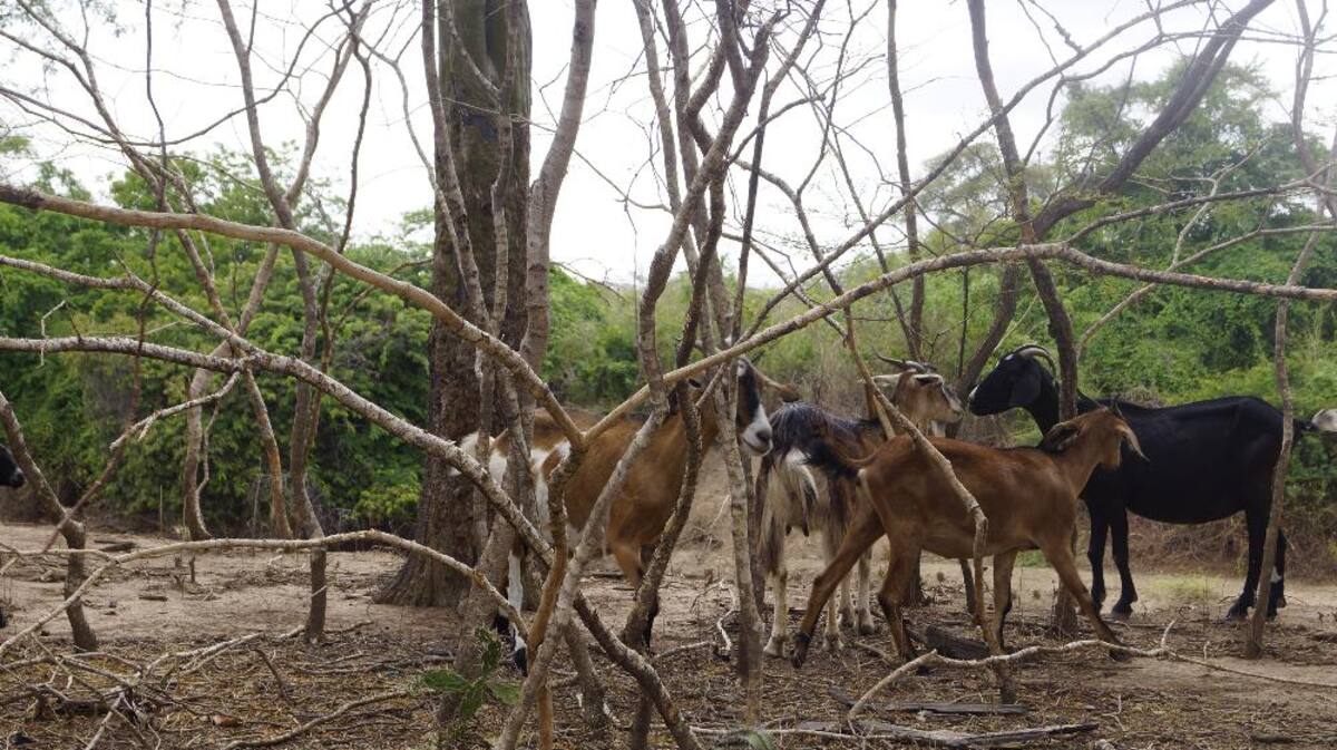 Recorrido de Caracol Radio por las zonas que aguantan sed. Fotos de Luis Enrique Rodríguez