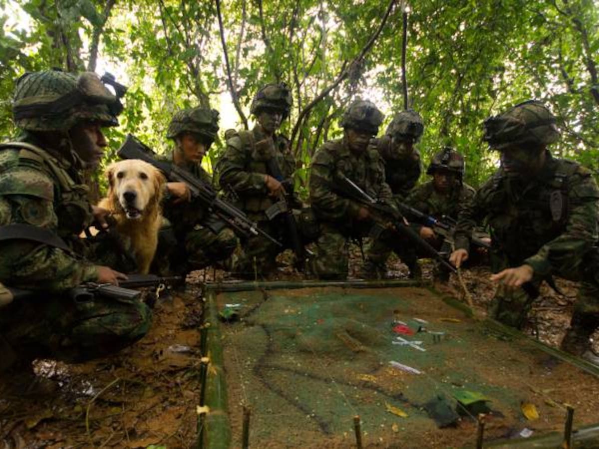 Suspenden operaciones militares en Cauca para permitir pedagogía de las Farc