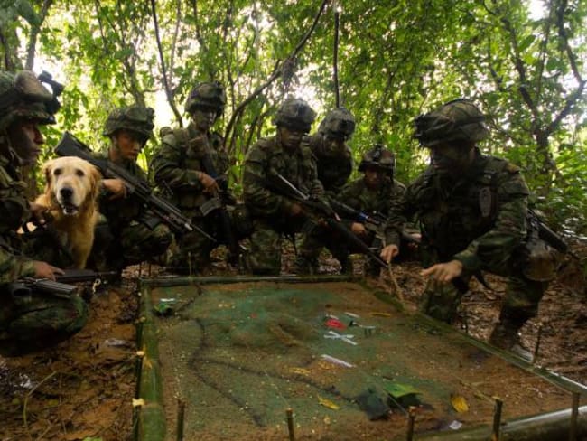 Suspenden operaciones militares en Cauca para permitir pedagogía de las Farc