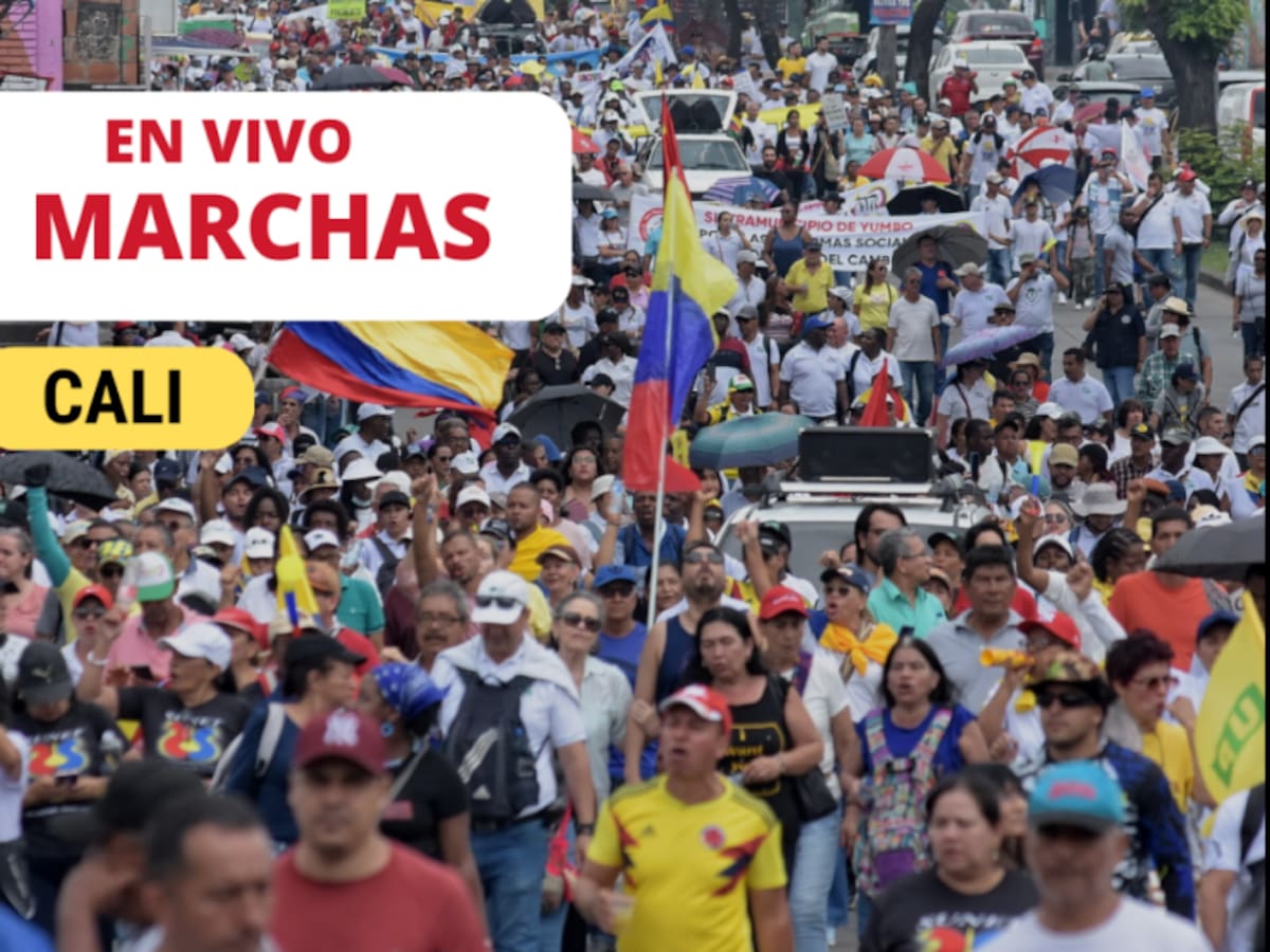 🔴Marchas EN VIVO Cali 8 de febrero: estos son los puntos de encuentro, horarios y más