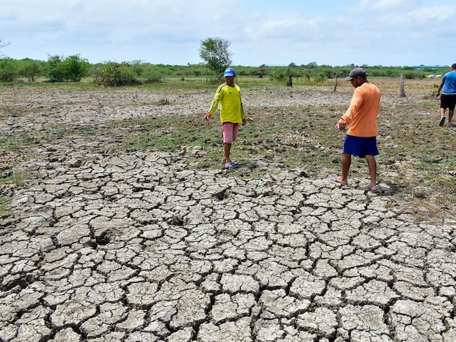 La escasez de agua es una de las principales consecuencias de la temporada seca.