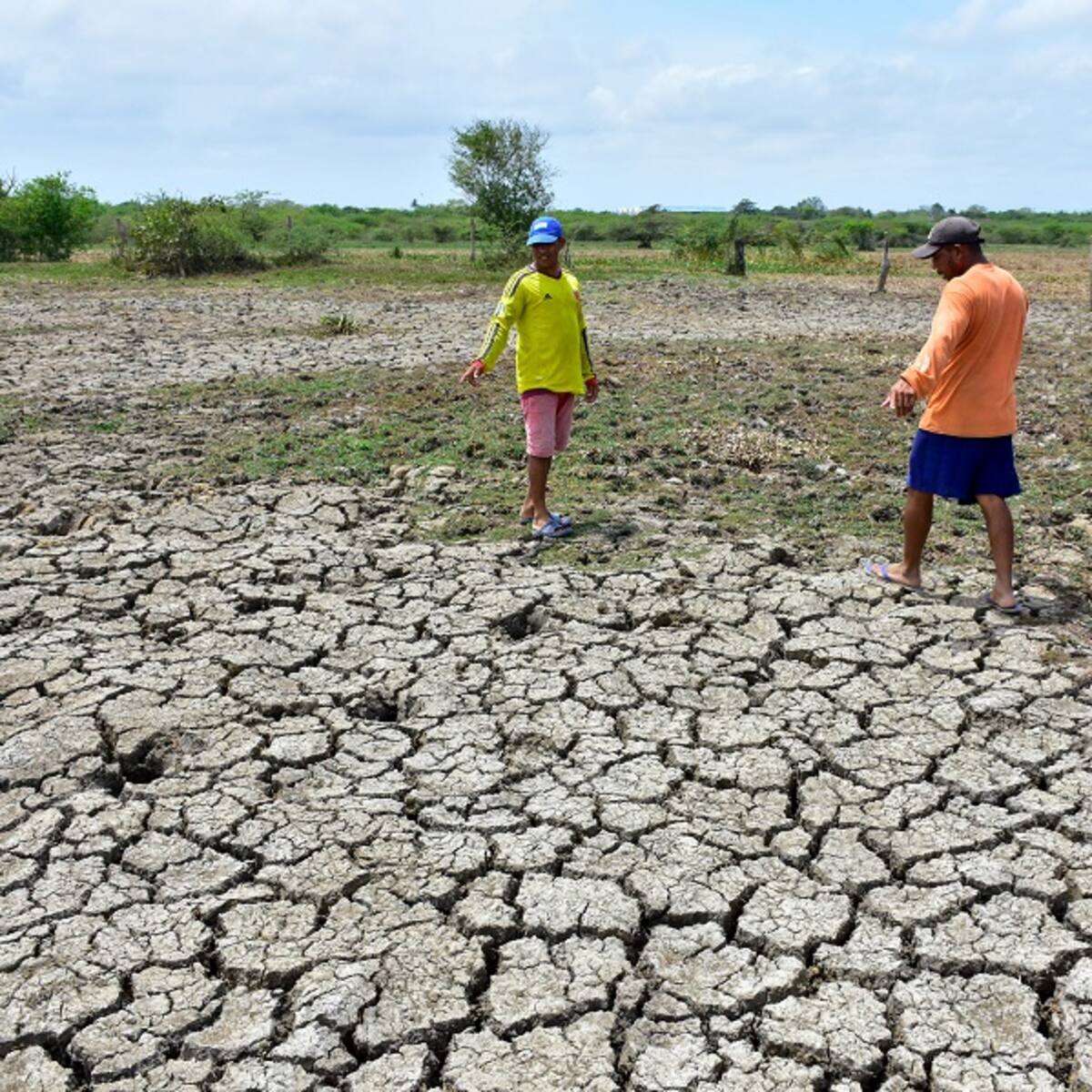 Llegada de la ola calor preocupa a productores en el Huila