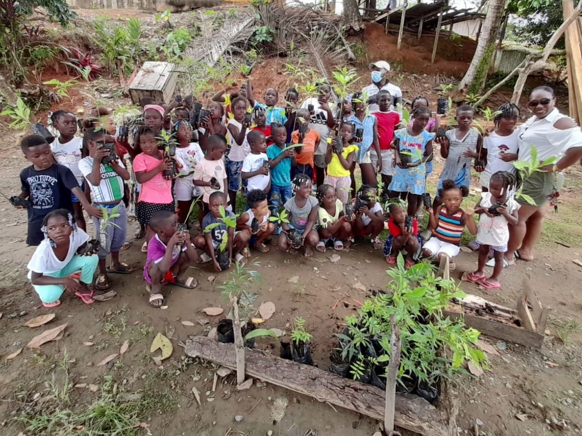 Salvaterra: la fundación que transforma el campo colombiano desde la sostenibilidad y la comunidad