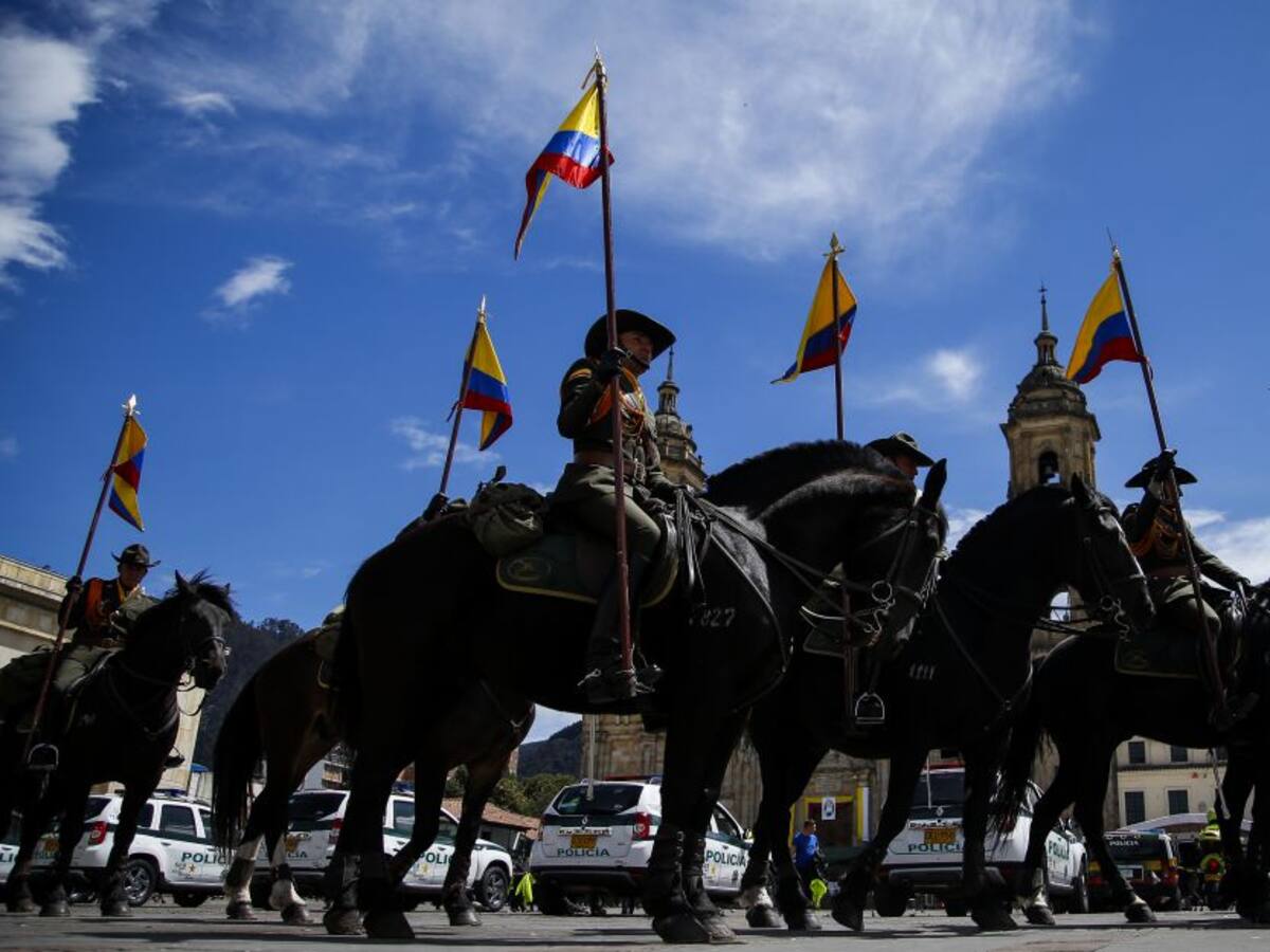 Proyecto de ley prohibiría a Fuerza Pública usar animales durante protestas