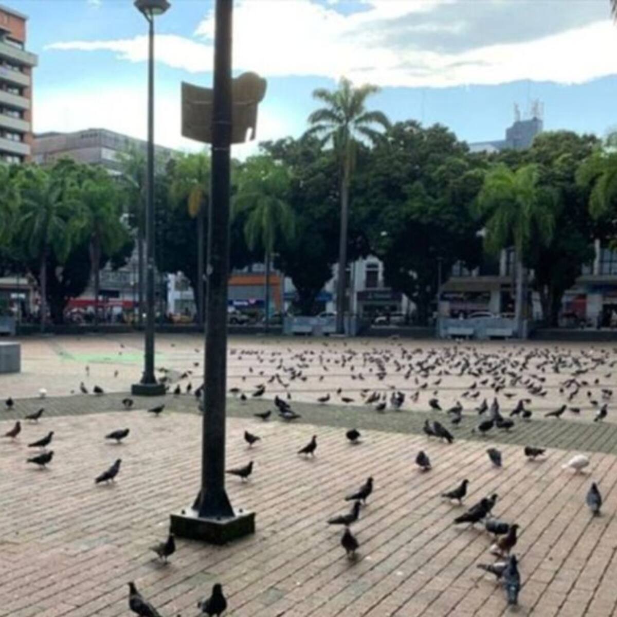 Así quedó el toque de queda en Risaralda tras las últimas modificaciones