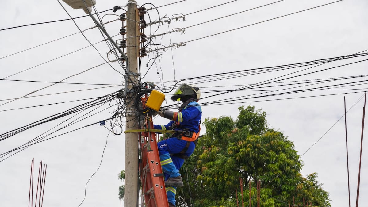 En medio de la Semana Santa, descubren seis pescaderías de Barranquilla con conexiones irregulares