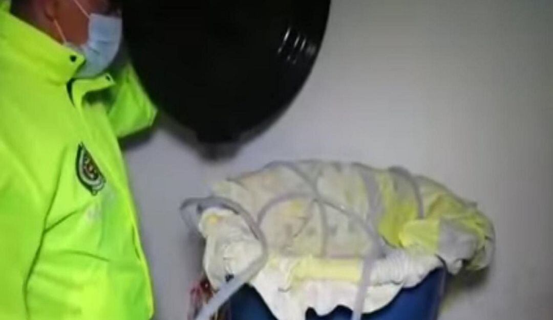 Imagen de referencia