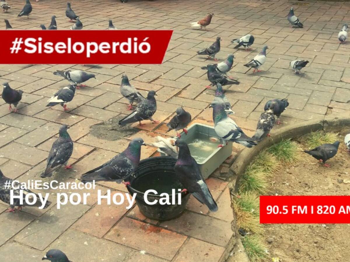 Podcast: Cali Hoy por Hoy 22 de enero del 2020