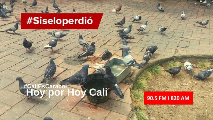Noticias