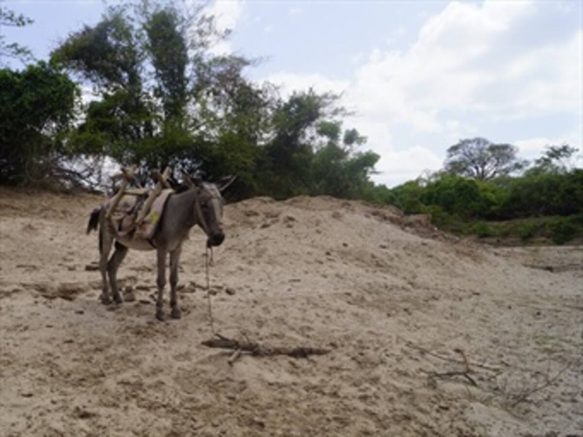 Fenómeno de El Niño impactaría principalmente a 10 departamentos del país